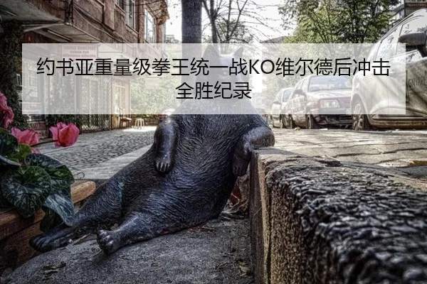 yue-shu-ya-zhong-liang-ji-quan-wang-tong-yi-zhan-wei-er-de-hou-chong-ji-quan-sheng-ji-lu-2-428.jpg